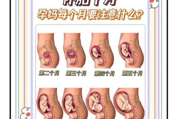 如何择生子吉日  孕妇必看的择日法则 如何择生子吉日  孕妇必看的择日法则