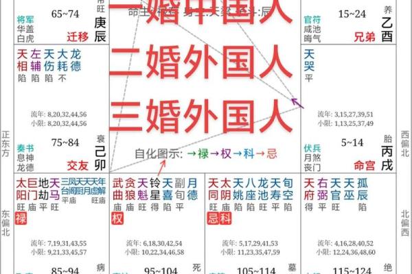 倒背如流:紫微斗数+八字(基础知识点) 倒背如流:紫微斗数+八字(基础知识点)