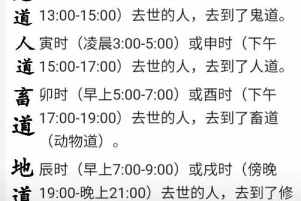 亥时的八字