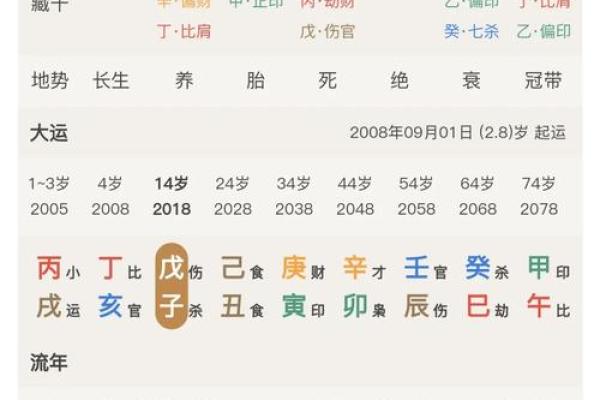 亥时的八字