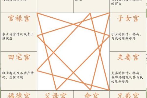 【紫微斗数】排盘技巧022：事业与财运分析