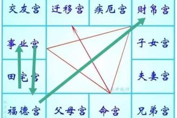 【紫微斗数】排盘技巧022：事业与财运分析
