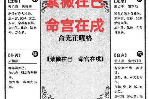 紫薇斗数豆瓣