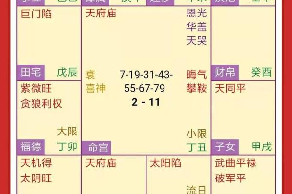 紫薇斗数星盘名称