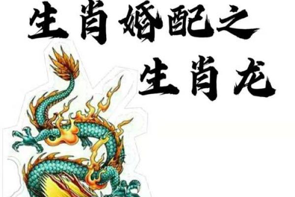 龙生肖配对姻缘 龙生肖配对排名？