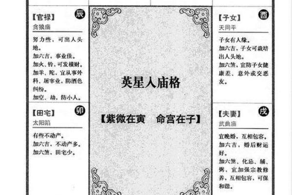 紫薇斗数长生十二神