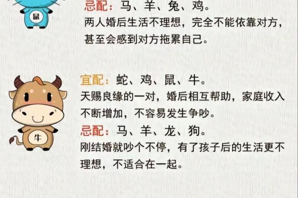 猪跟什么生肖配对最好 生肖猪最佳配对