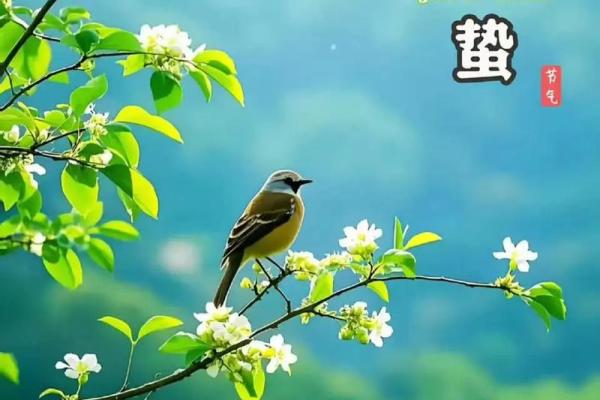 古人选择吉日为什么不选惊蛰那天,这是什么意思 古人选择吉日为什么不选惊蛰那天,这是什么意思