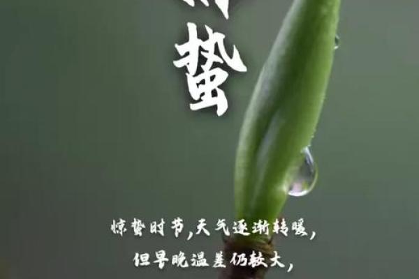 古人选择吉日为什么不选惊蛰那天,这是什么意思 古人选择吉日为什么不选惊蛰那天,这是什么意思