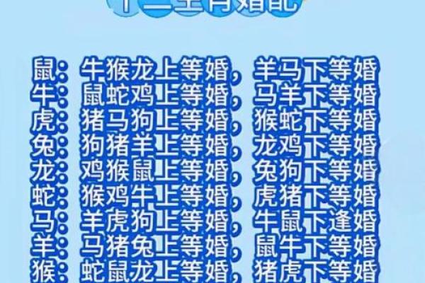 女马男蛇生肖配对姻缘