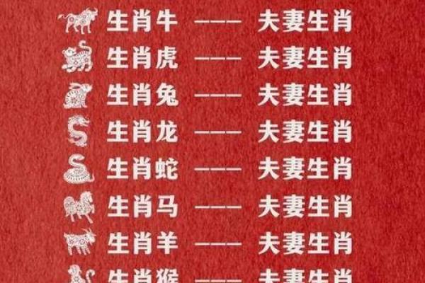 配对要谨慎的生肖组合