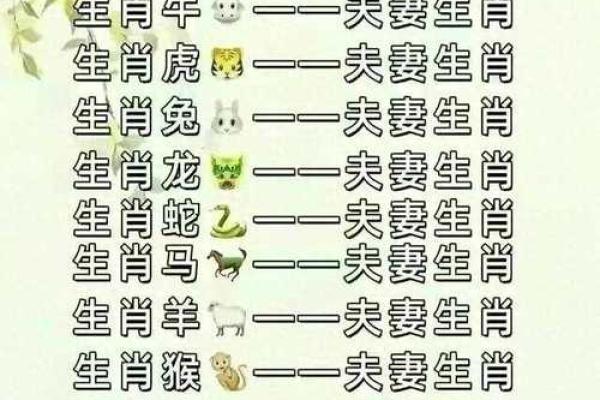 配对要谨慎的生肖组合