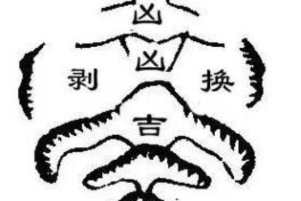 神龙风水攻略 神龙风水攻略