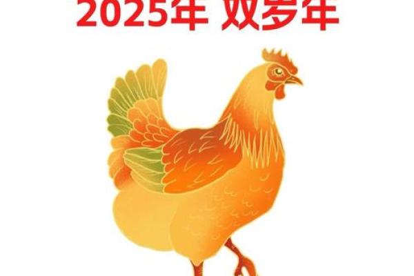 属鸡是哪一年出生的 属鸡的男孩出生吉日 属鸡是哪一年出生的 属鸡的男孩出生吉日