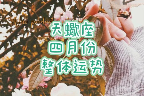 星座九月份运势天蝎 星座九月份运势天蝎