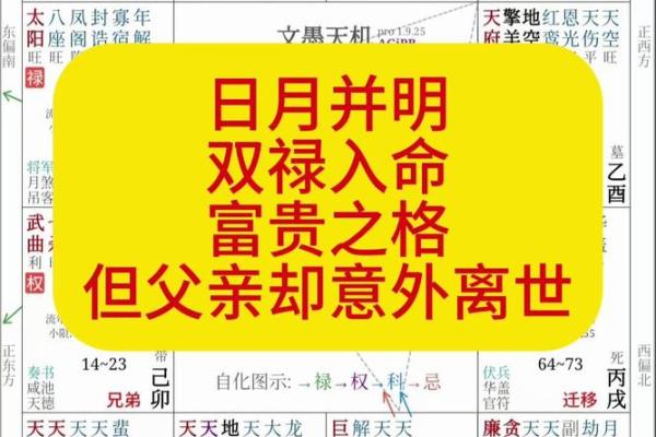 太阳在夫妻宫,紫微斗数太阳星入夫妻宫 太阳在夫妻宫,紫微斗数太阳星入夫妻宫