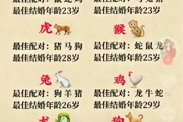 属相婚配表配对查询 属相婚配表配对查询