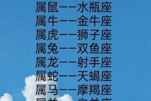 天马和什么星座配对最合适