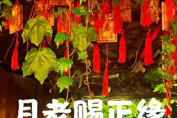 求月老牵姻缘的话 求月老姻缘怎么说? 求月老牵姻缘的话 求月老姻缘怎么说?