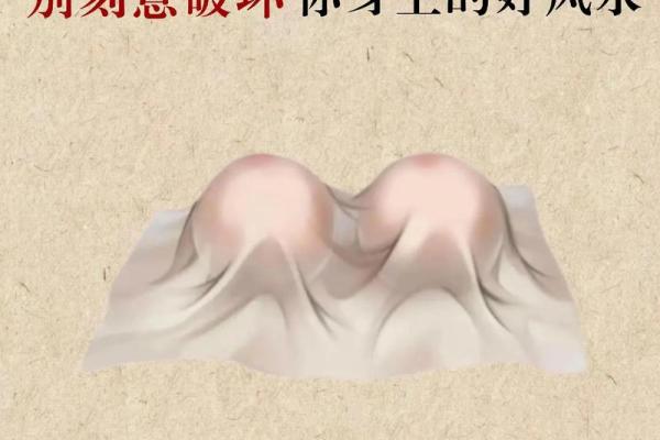 怀孕后能不能搬家风水都有哪些讲究 怀孕后能不能搬家风水都有哪些讲究