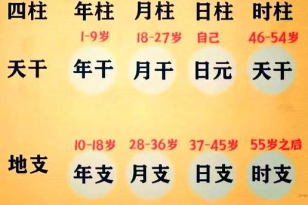 为什么伟人的八字一般 为什么伟人的八字一般