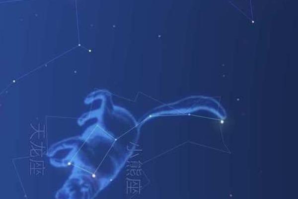 北极星姐姐是哪个星座的 北极星姐姐是哪个星座的