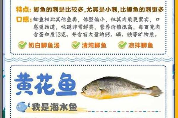 养鱼的喜忌:家庭养鱼风水讲究 养鱼的喜忌:家庭养鱼风水讲究