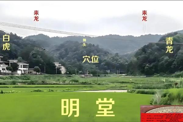 祖坟墓地风水好“五大征兆 ” 祖坟墓地风水好“五大征兆 ”