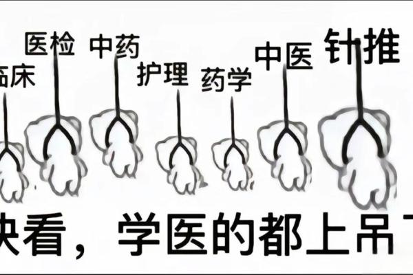 当医生的八字 当医生的八字