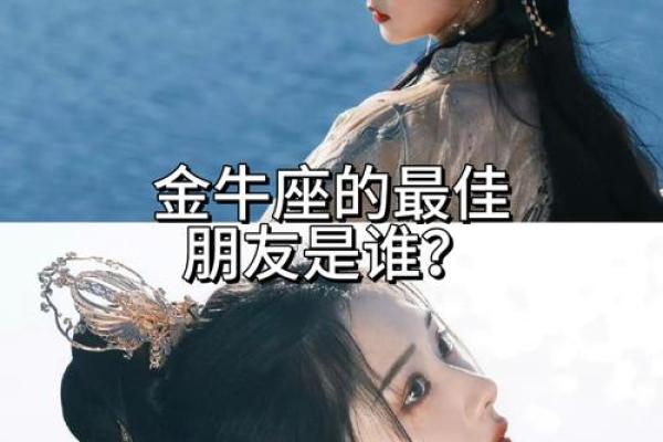 金牛座和哪个星座最配在一起最合适 金牛座和哪个星座最配在一起最合适