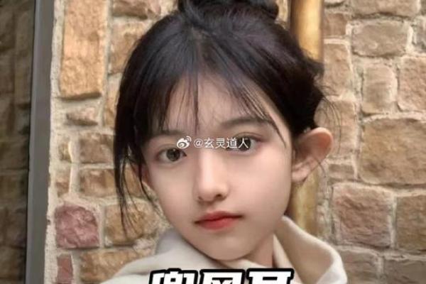 风水天生耳朵小的人运势 风水天生耳朵小的人运势