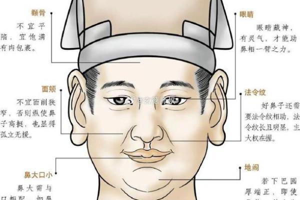 鼻头大的男人面相在风水中有哪些含义 鼻头大的男人面相在风水中有哪些含义
