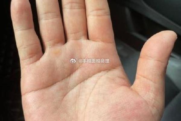 风水川字掌手相男人的命运解析