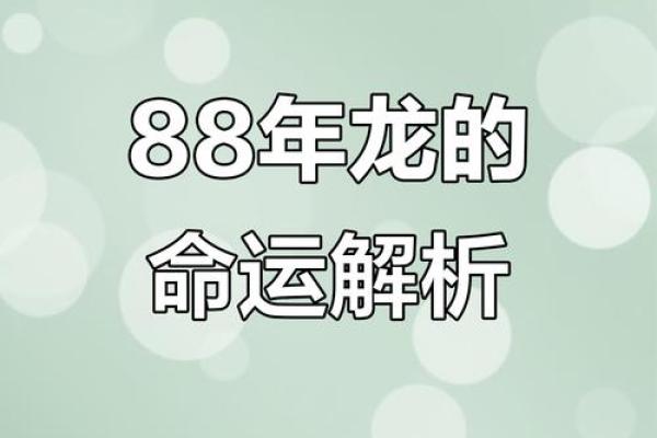 1988年生肖运势方位