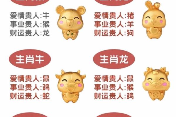 生辰八字能揭示你的生肖