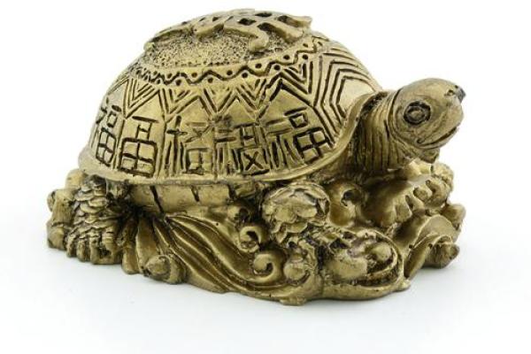 风水乌龟壳的功效与作用 风水乌龟壳的功效与作用