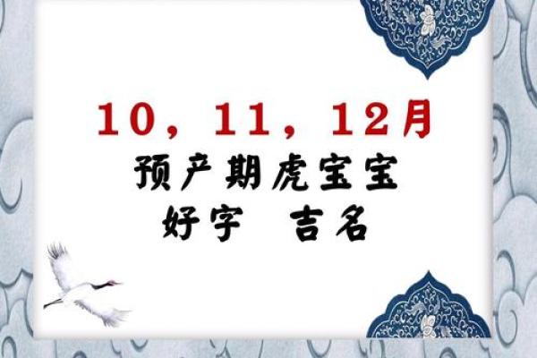 2025年廿四日辰时出生的虎宝宝八字取名推荐 2025年廿四日辰时出生的虎宝宝八字取名推荐