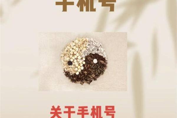 数字风水,你的手机号是吉是凶 数字风水,你的手机号是吉是凶