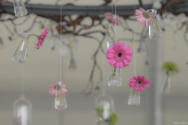 浪漫花房子风水壁纸 浪漫花房子风水壁纸