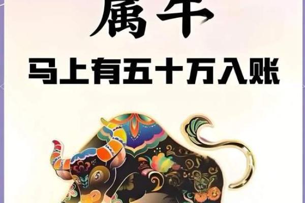 属牛的住什么方位容易沉着冷静