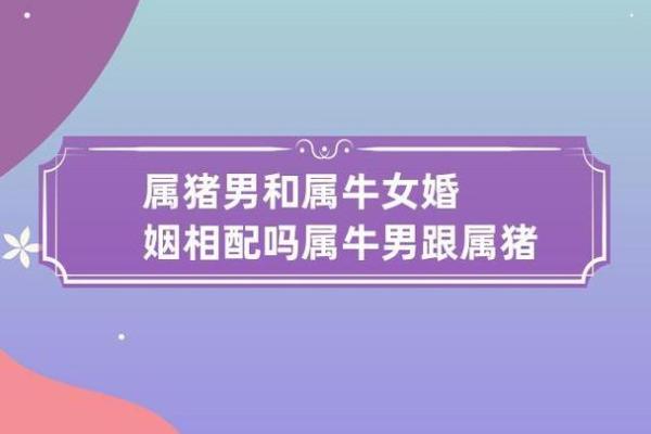 属猪的女人和什么属相最配对 属猪的女人和什么属相最配婚姻 属猪的女人和什么属相最配对 属猪的女人和什么属相最配婚姻