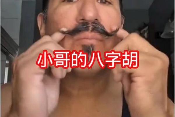 八字胡斑 八字胡斑