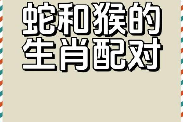生肖属猴和属猪合吗 相合配对指数查询 生肖属猴和属猪合吗 相合配对指数查询
