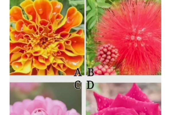 心理测试-四把金钥匙选一,看看你有没有中大奖的命 心理测试-四把金钥匙选一,看看你有没有中大奖的命