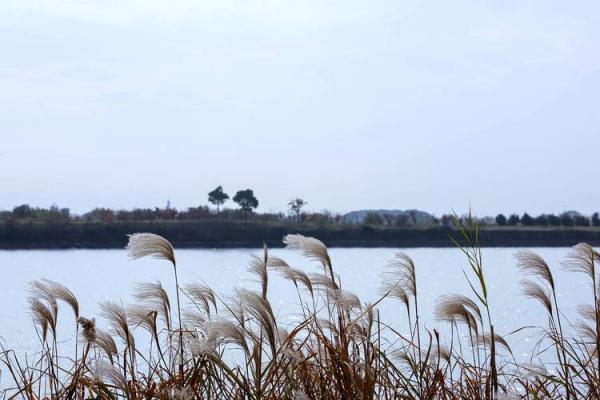 杂谈|雪舞时节谈寂美,东方八字美学说尽美的奥妙 杂谈|雪舞时节谈寂美,东方八字美学说尽美的奥妙