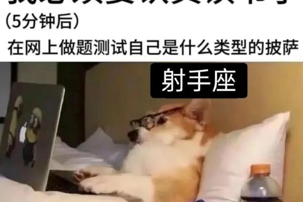 十二星座都适合什么表情包 十二星座都适合什么表情包