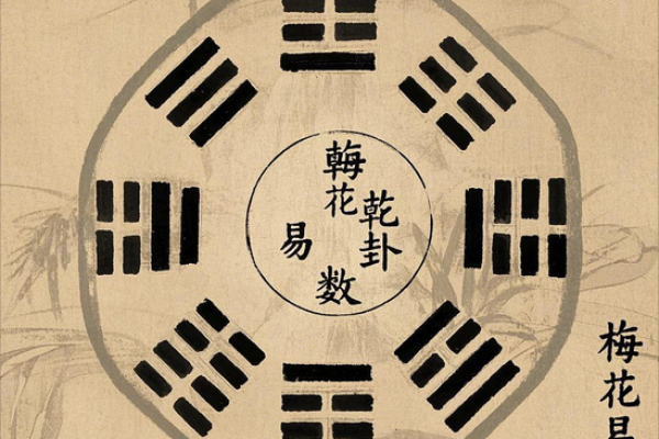 梅花易数的方位怎么定