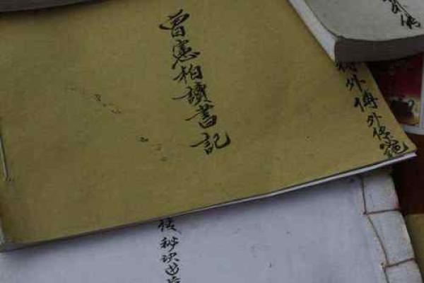 风水师说房子不能往南开 风水师说房子不能往南开