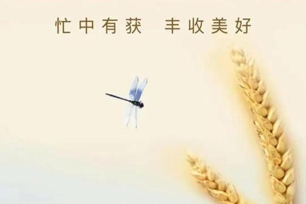 2024年芒种的财神方位在哪?芒种节气的三个物候现象 2024年芒种的财神方位在哪?芒种节气的三个物候现象