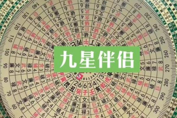 九星指的是哪些星座女生